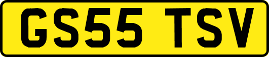 GS55TSV