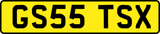 GS55TSX
