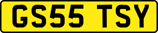 GS55TSY