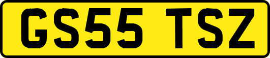 GS55TSZ