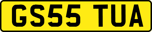 GS55TUA