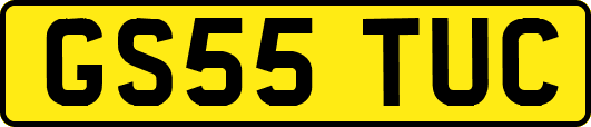 GS55TUC