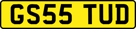 GS55TUD