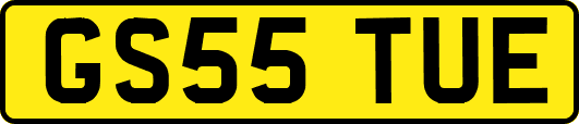 GS55TUE