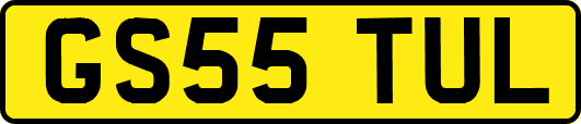 GS55TUL