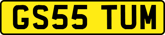 GS55TUM
