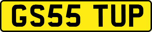 GS55TUP