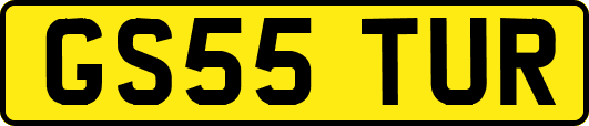 GS55TUR