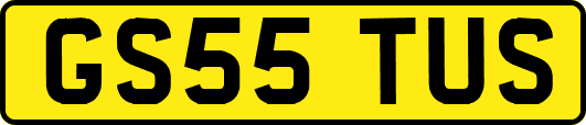 GS55TUS
