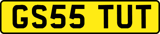GS55TUT