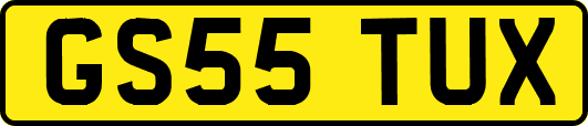 GS55TUX