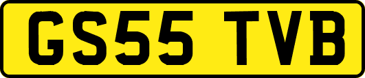 GS55TVB