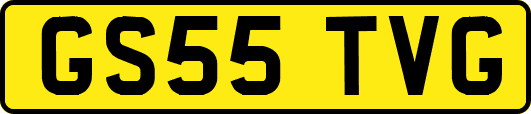 GS55TVG