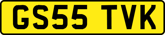 GS55TVK