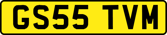 GS55TVM