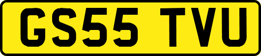 GS55TVU