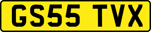 GS55TVX