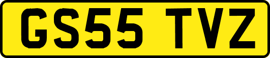GS55TVZ