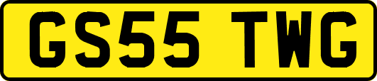 GS55TWG