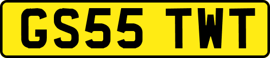 GS55TWT