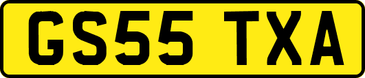 GS55TXA