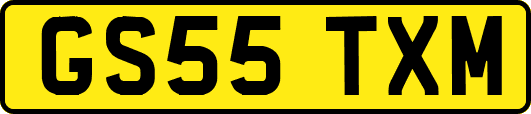 GS55TXM