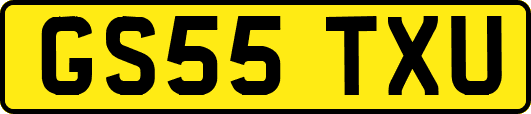 GS55TXU
