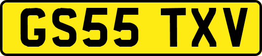 GS55TXV
