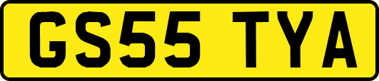 GS55TYA