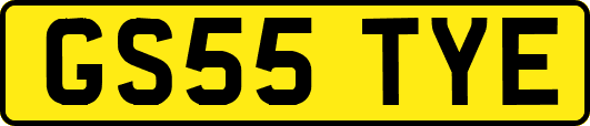 GS55TYE