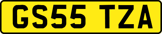 GS55TZA