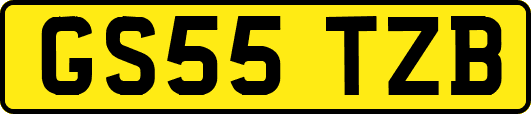 GS55TZB