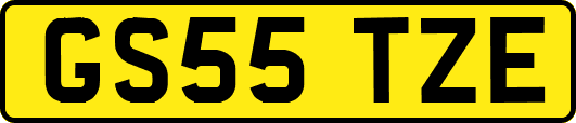 GS55TZE