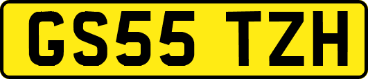 GS55TZH