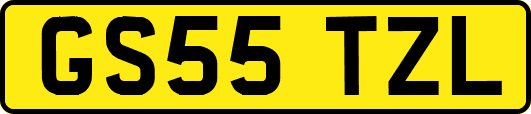 GS55TZL