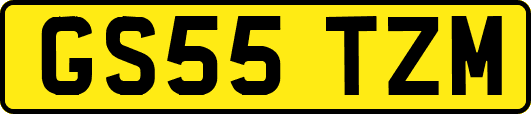 GS55TZM