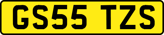 GS55TZS
