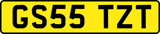 GS55TZT