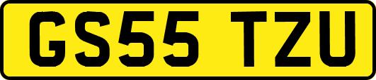 GS55TZU