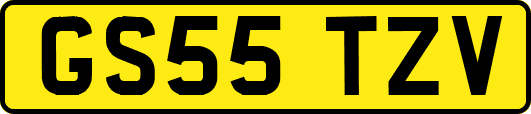 GS55TZV