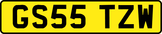 GS55TZW