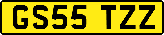 GS55TZZ