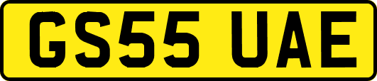 GS55UAE