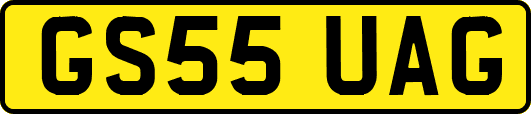 GS55UAG