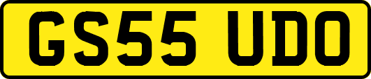 GS55UDO