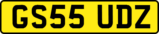 GS55UDZ