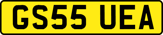 GS55UEA