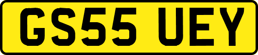GS55UEY