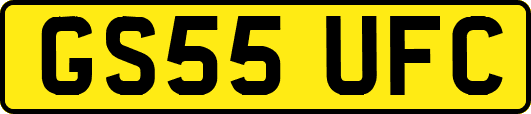 GS55UFC
