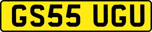 GS55UGU